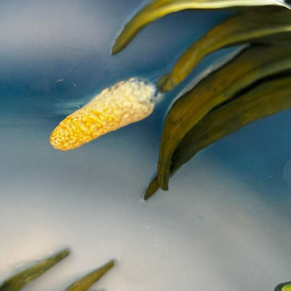 Herco Plate Frogs Ceramic 3-D Plate Statue Figurine Frogs, Waterlilies Gift - Picture 14 of 16